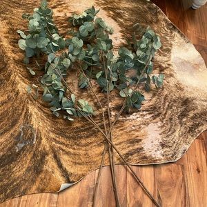 Faux Eucalyptus Stems (4)